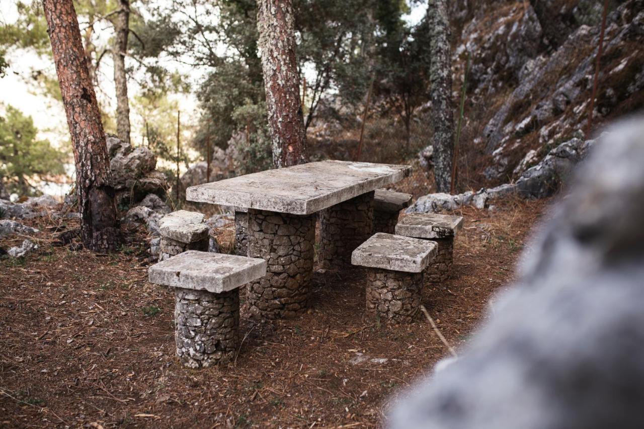 Camping Tajorodillo グラサレマ エクステリア 写真